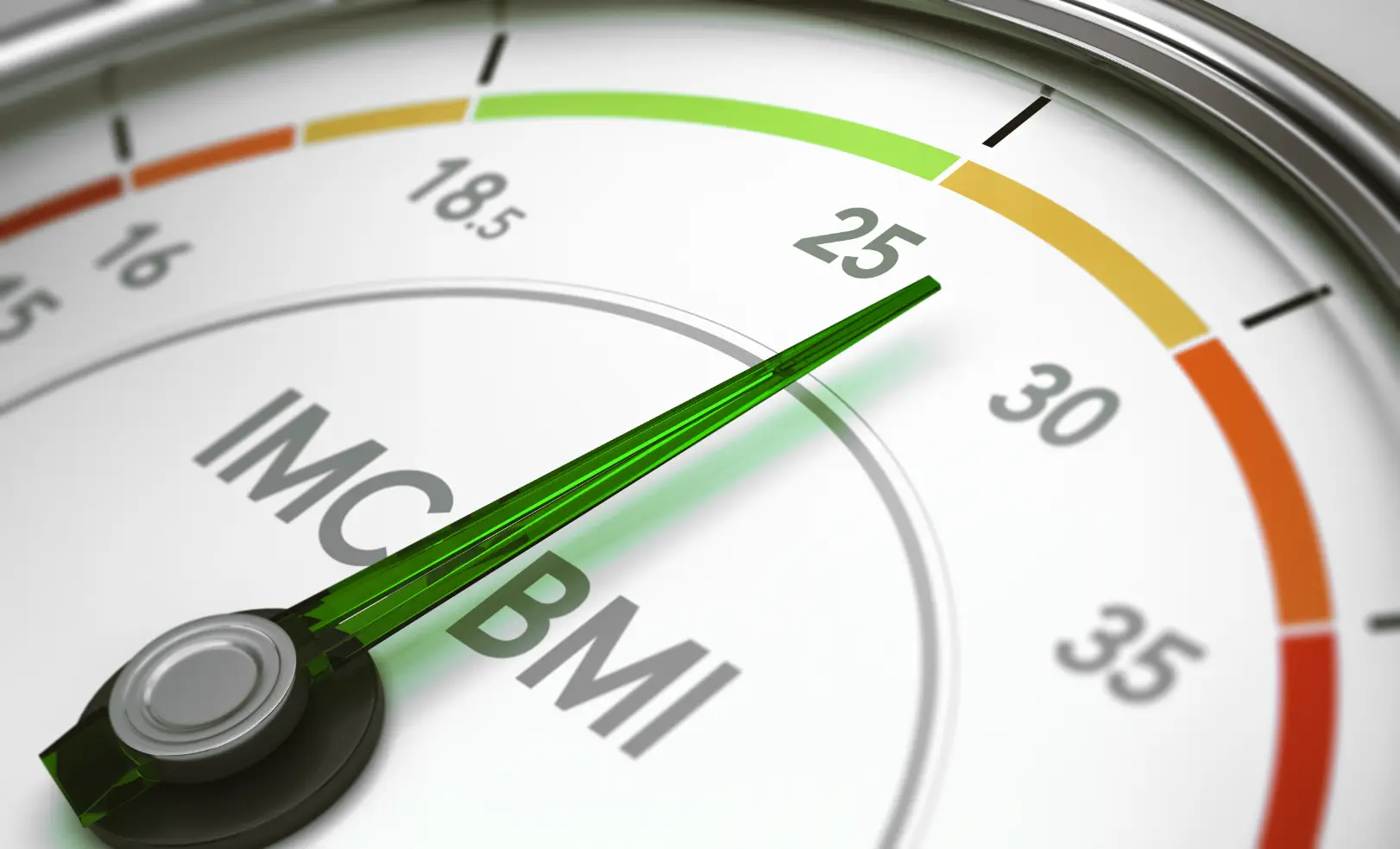 Close-up of a BMI gauge with the indicator pointing near the 25 mark in the green range.